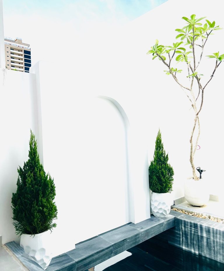 29 Khuc Thua Du 3 768x927